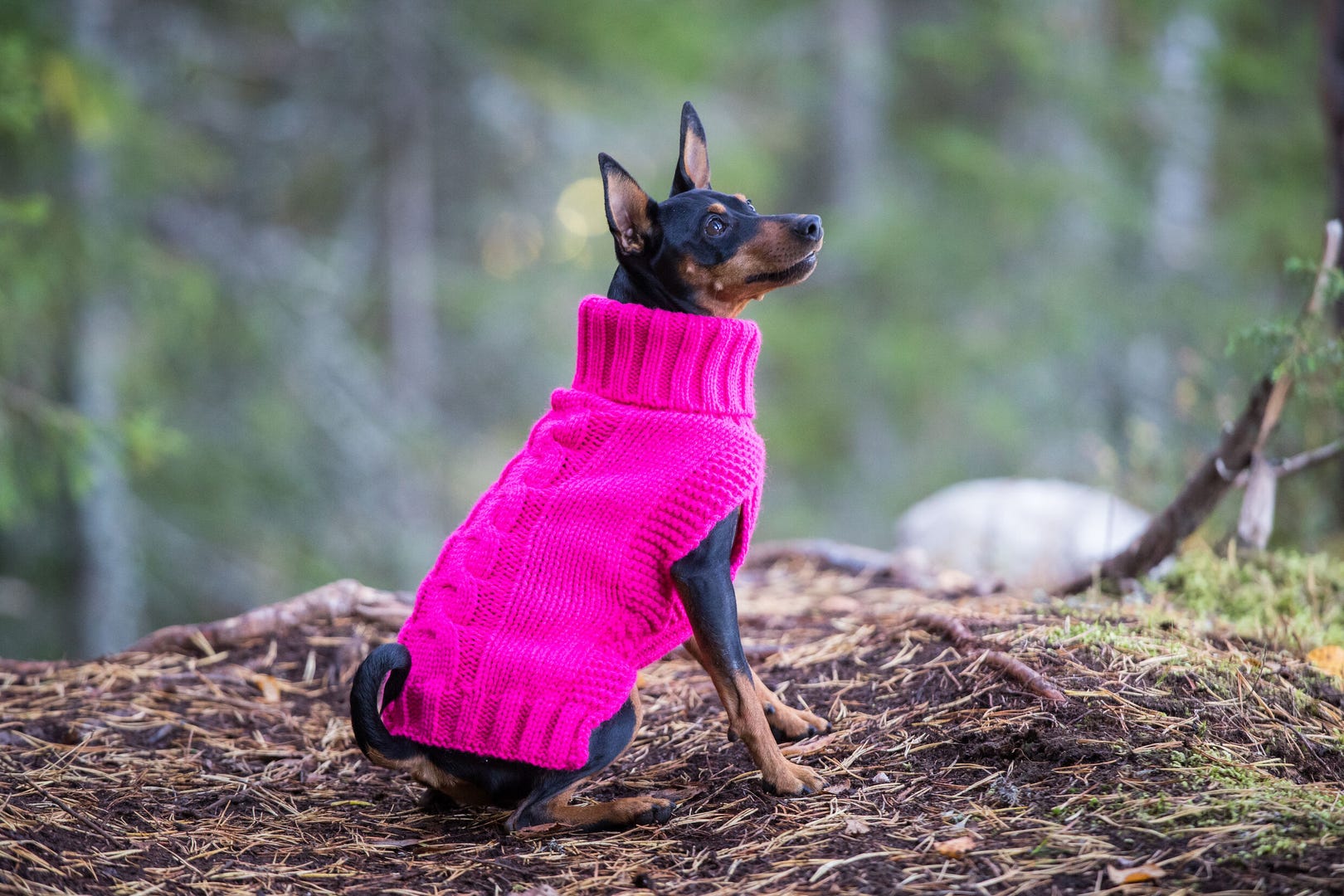 Rukka pets Wooly knitwear