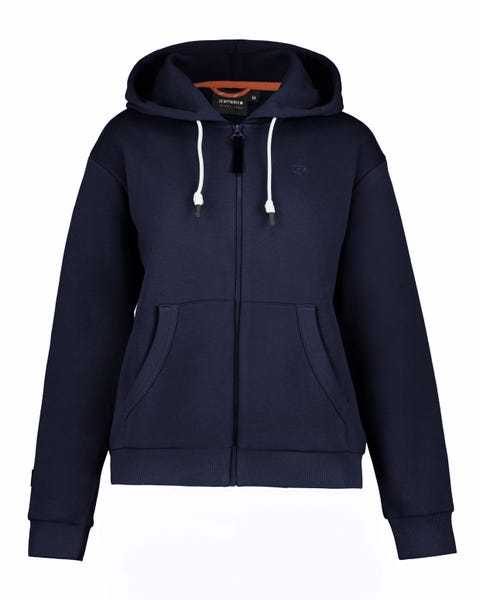Icepeak Plover