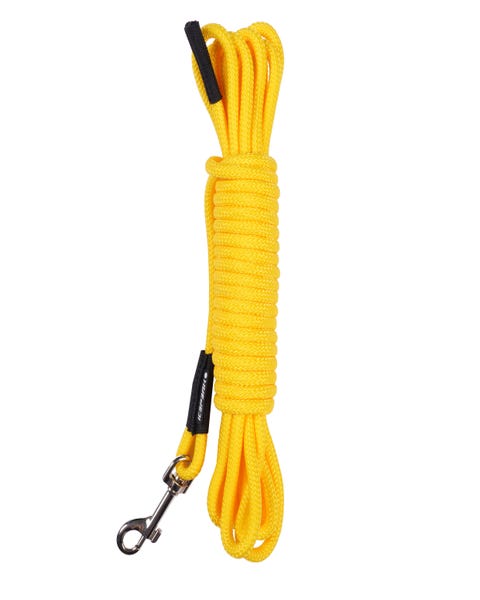 Icepeak Pet Pond Floating Leash