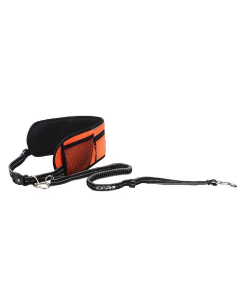 Icepeak Pet Tour belt+ leash